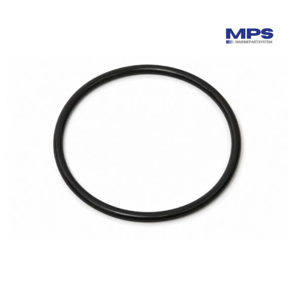 Nanni-Wärmetauscher-O-Ring – 970307177